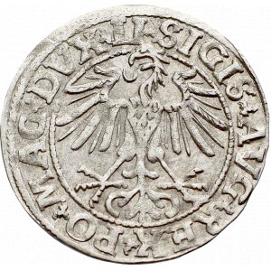 Sigismund II Augustus, Halfgroat 1550, Vilnius