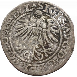 Sigismund II Augustus, Halfgroat 1563, Vilnius