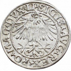 Zygmunt II August, Półgrosz 1548/9, Wilno - przebitka daty