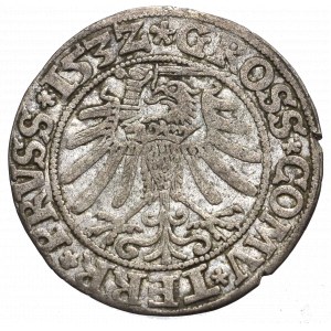 Zygmunt I Stary, Grosz dla ziem pruskich 1532, Toruń