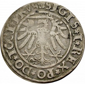 Zygmunt I Stary, Grosz 1534, Elbląg