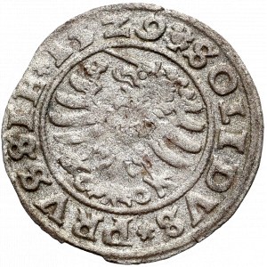 Sigismund I the Old, Schilling 1529, Thorn