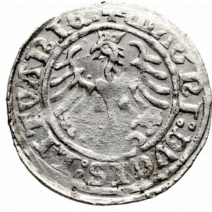 Sigismund I the Old, Halfgroat 1509, Vilnius