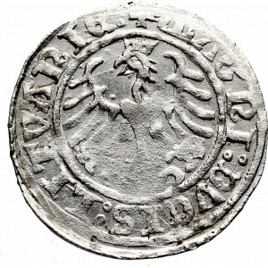 Zygmunt I Stary, Półgrosz 1509, Wilno