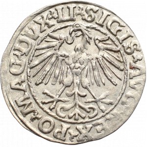 Sigismund II Augustus, Halfgroat 1548, Vilnius