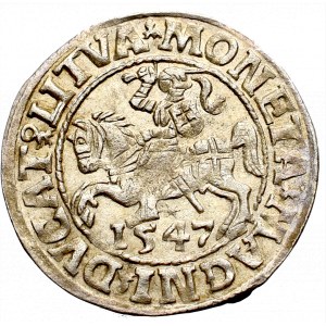 Sigismund II Augustus, Halfgroat 1547, Vilnius