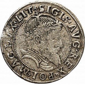 Sigismund II Augustus, Groschen 1555, Vilnius