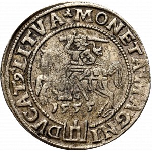 Sigismund II Augustus, Groschen 1555, Vilnius