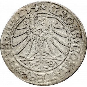 Zygmunt I Stary, Grosz dla ziem pruskich 1534, Toruń - popiersie bez czepca