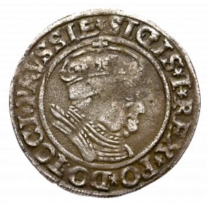 Zygmunt I Stary, Grosz dla ziem pruskich 1534, Toruń - PRVSSIE/PRVSSIE