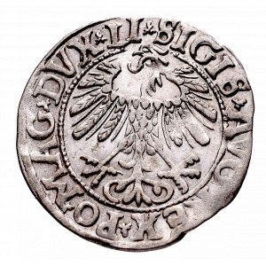 Zygmunt II August, Półgrosz 1558, Wilno - LI/LITVA