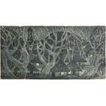 Leopold LEWICKI, NOC ZIMOWA, ok. 1960