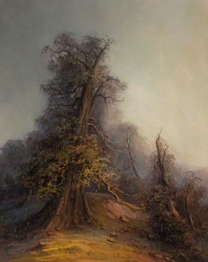 Zygmunt BIAŁOUS