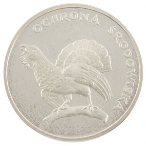 100 zł, Ochrona środowiska (głuszec), 1980