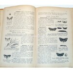 NOWICKI- ZOOLOGIA OBRAZOWA wyd. 1876