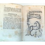 DOROHOSTAJSKI- HIPPIKA TO JEST KSIĘGA O KONIACH wyd. 1861r. RYCINY