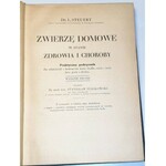 STEUERT- ZWIERZĘ DOMOWE W STANIE ZDROWIA I CHOROBY