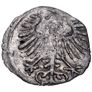 Zygmunt August, denar 1556, Wilno