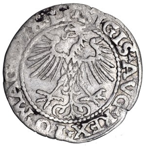 Zygmunt August, półgrosz 1552, Wilno - rzadki rocznik