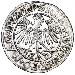 Zygmunt August, półgrosz 1547, Wilno - piękny