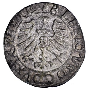 Prusy Książęce, Albrecht Hohenzollern, szeląg 1558, Królewiec