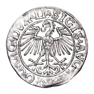 Zygmunt August, półgrosz 1548, Wilno