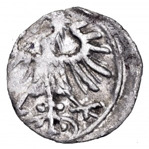 Zygmunt August, denar 1557, Wilno