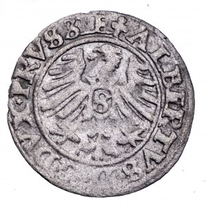Prusy Książęce, Albrecht Hohenzollern, szeląg 1550