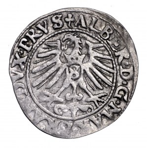 Prusy Książęce, Albrecht Hohenzollern, grosz 1548, Królewiec - ostatni, najrzadszy