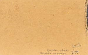 Mikulski Kazimierz, Kompozycja z kotem, lata 60. XX w.