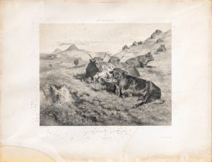 Bonheur Marie-Rosalie, Krowy z Owernii, 1856