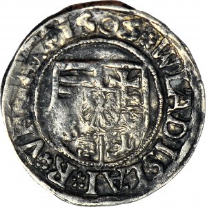 Węgry, Władysław II Jagiellończyk, denar 1505 KH, Kremnica
