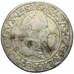 Zygmunt II August, Czworak 1566, Wilno