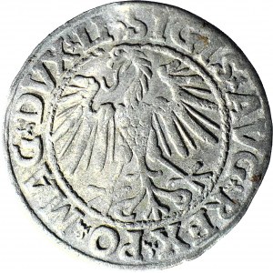 R-, Zygmunt II August, Półgrosz 1546, Wilno, LITV/LI