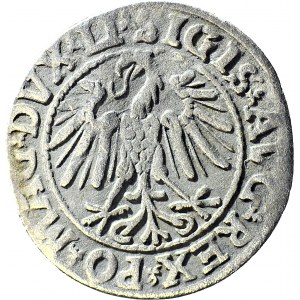 R-, Zygmunt II August, Półgrosz 1546, Wilno, LITV/LI