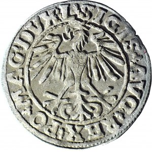 R-, Zygmunt II August, Półgrosz 1550, Wilno, rzadka końcówka L