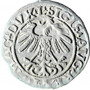 Zygmunt II August, Półgrosz 1558 Wilno, rzadka końcówka LI