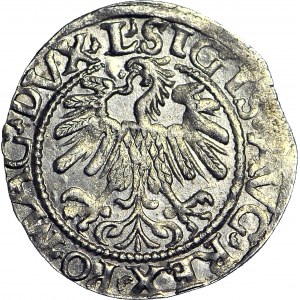 Zygmunt II August, Półgrosz 1559 Wilno, menniczy