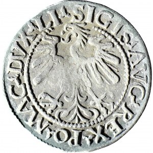R-, Zygmunt II August, Półgrosz 1559 Wilno, rzadka końcówka LI