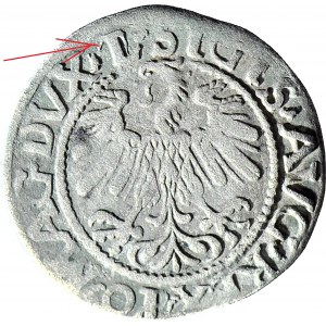 RR-, Zygmunt II August, Półgrosz 1559 Wilno, L przebite z T