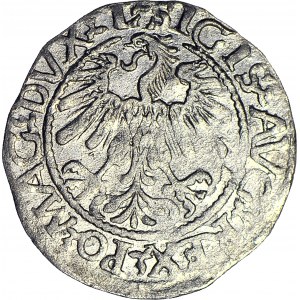 Zygmunt II August, Półgrosz 1560, Wilno, L