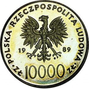 10.000 złotych 1989, Jan Paweł II, Kratka