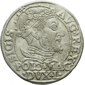 Zygmunt II August, Grosz na stopę polską 1547, Wilno, R1