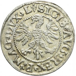 RR-, Zygmunt II August, Półgrosz 1546, Wilno, LITVΛ/L, nienotowany