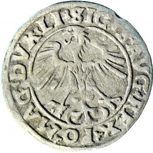 R-, Zygmunt II August, Półgrosz 1553, Wilno, LI/LITVA, rzadki rocznik, T.5 mk