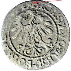 RR-, Sigismund II Augustus, halber Pfennig 1560, Vilnius, L - ROZETA, sehr selten