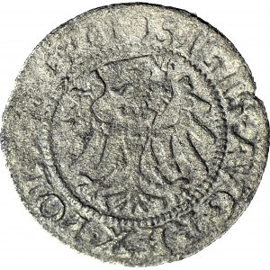 RR-. Sigismund II Augustus, Shellac 1552 Gdansk R6.