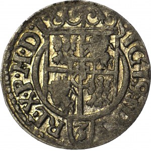 RR-, Zygmunt III Waza, Półtorak 1621, Bydgoszcz, 1 w dacie jak J, piękny i rzadki