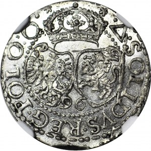 Zygmunt III Waza, Szeląg 1596 Malbork