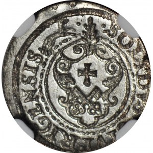RRR-, Zygmunt III Waza, Szeląg 1620, Ryga, data na awersie